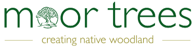 Moor-Trees-Logo-400px